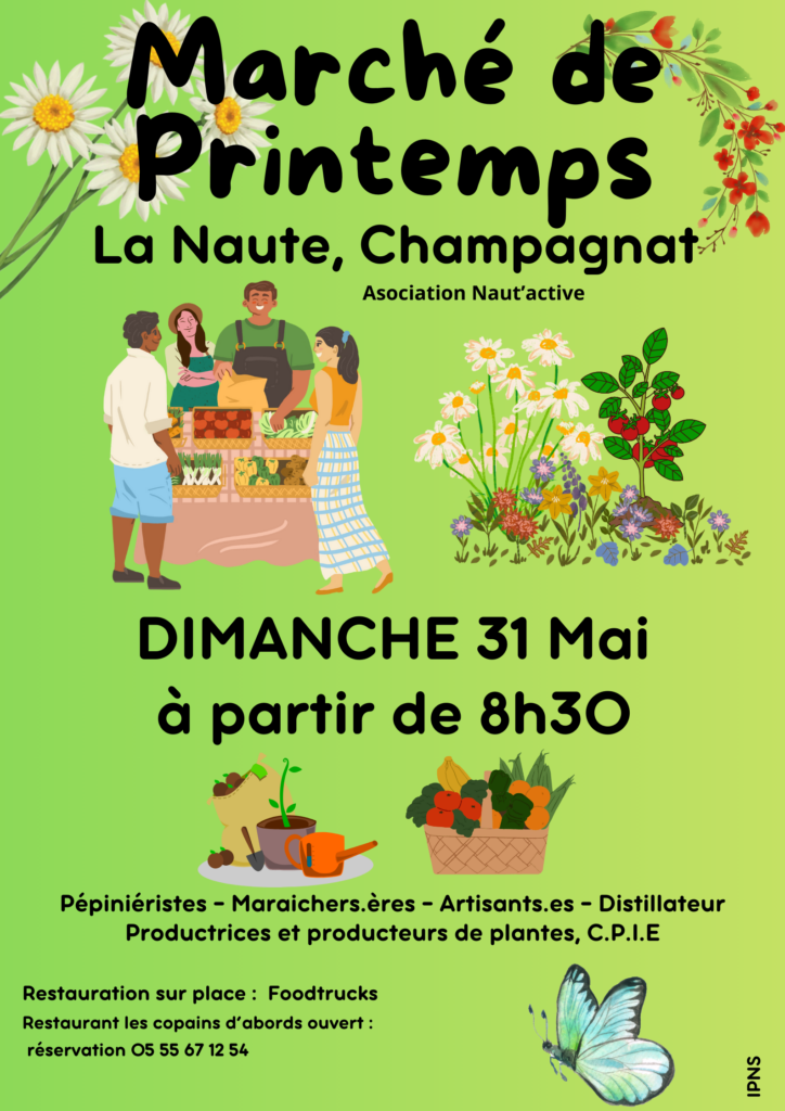 Marché aux plantes et artisanat local