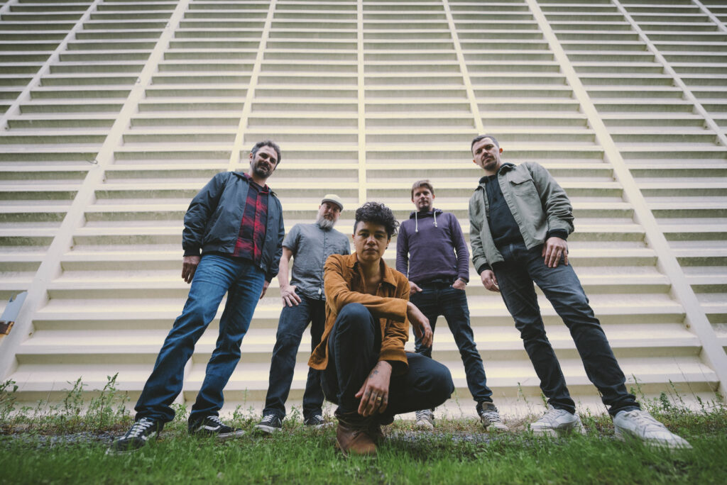 The Sunvizors